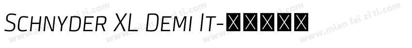 Schnyder XL Demi It字体转换